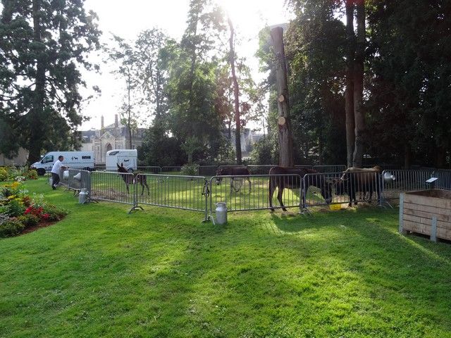 fete ane 2014 (10).jpg